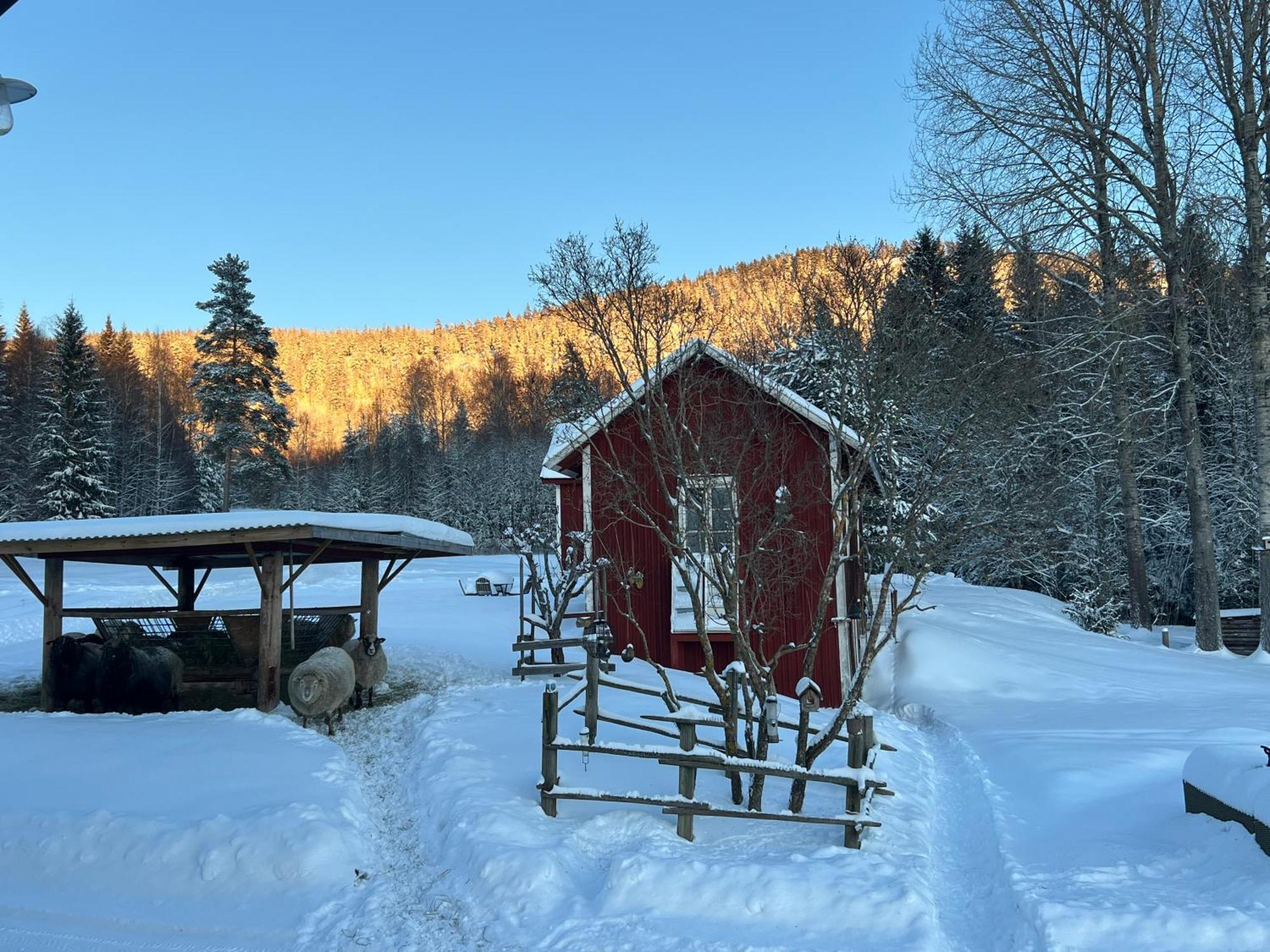 Adventure Guesthouse Sweden In Rural Area Sunne Extérieur photo